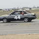 Illustration for article titled The 24 Hours Of LeMons Texas Gator-O-Rama Über Gallery: The Europeans